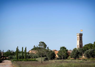 Dehesa de los Llanos, campo