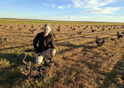 Antología Wines viñedo